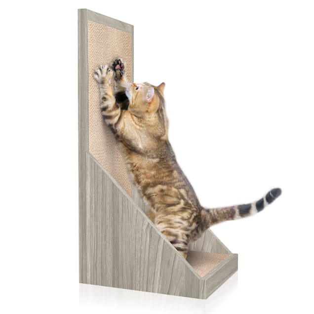 Petco top cat scratcher
