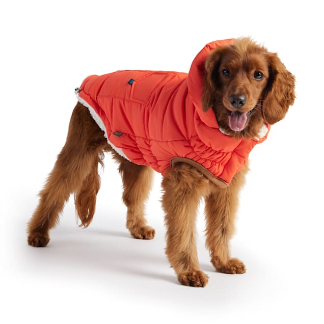 GF Pet Orange Super Puff Dog Parka, XX-Small | Petco