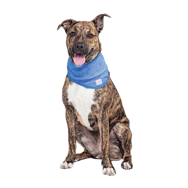 Dog ice bandana top