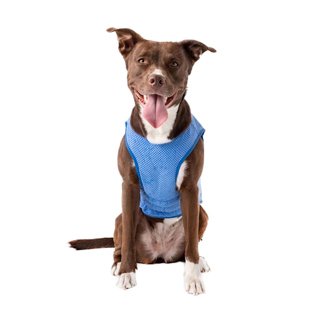 Petco clearance cooling vest