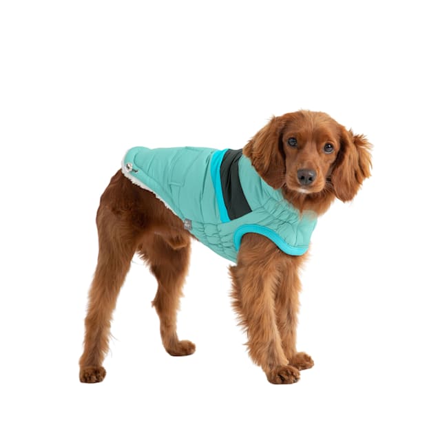 GF Pet Aqua Elasto Fit Alpine Puffer Jacket for Dogs XX Small Petco
