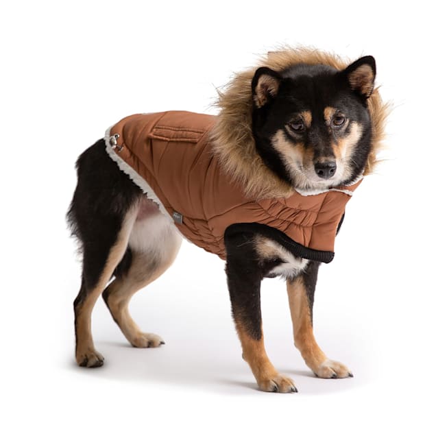 Gf pet dog coats sale