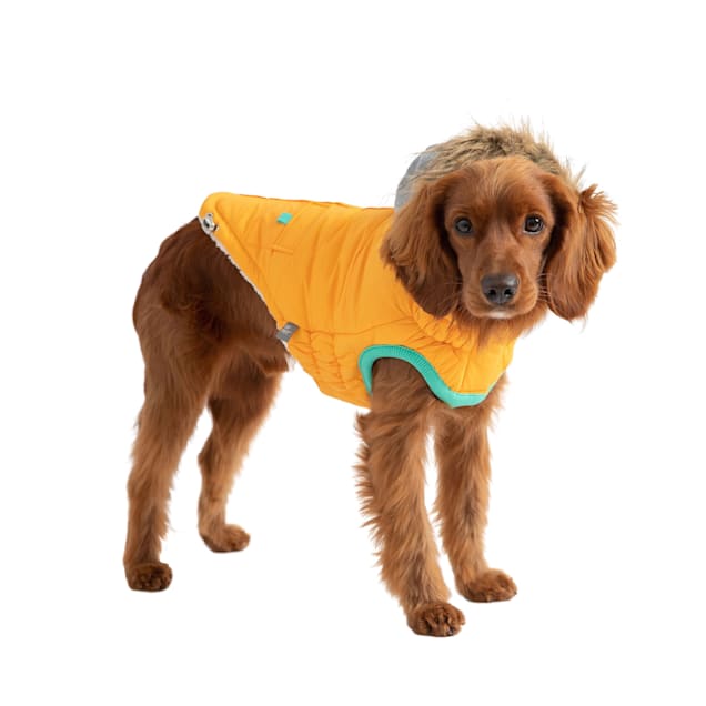 GF Pet Yellow Winter Sailor Dog Parka, XX-Small | Petco