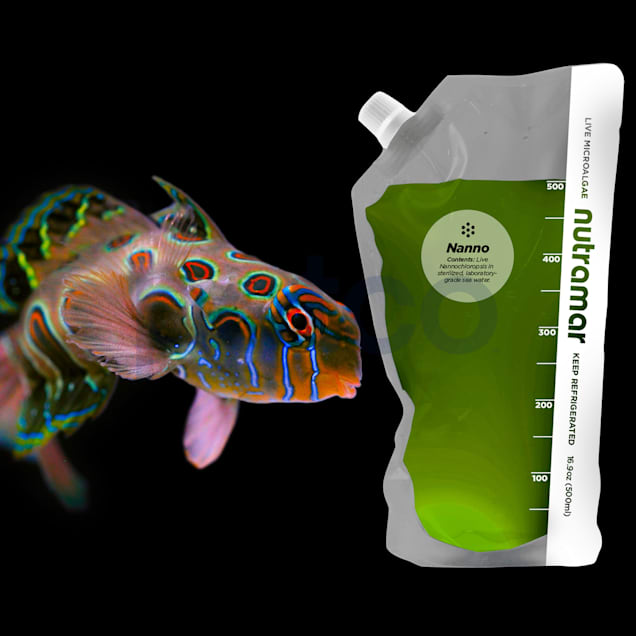 Live copepods petco online