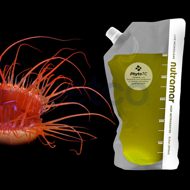 Live copepods petco top