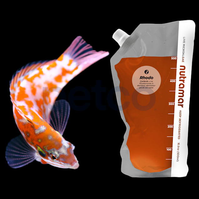 Nutramar Live Phyto Rhodo Pouch 16.9 oz. Petco