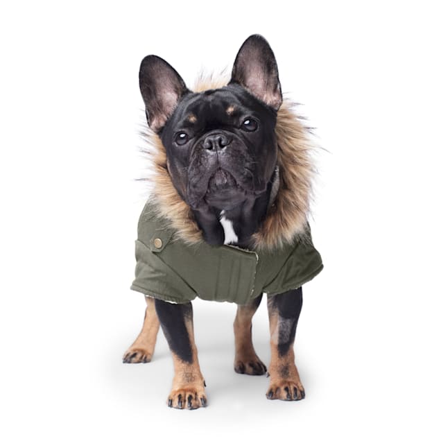 Canada Pooch Army Green Alaskan Army Parka for Dogs, XX-Small - Carousel image #1