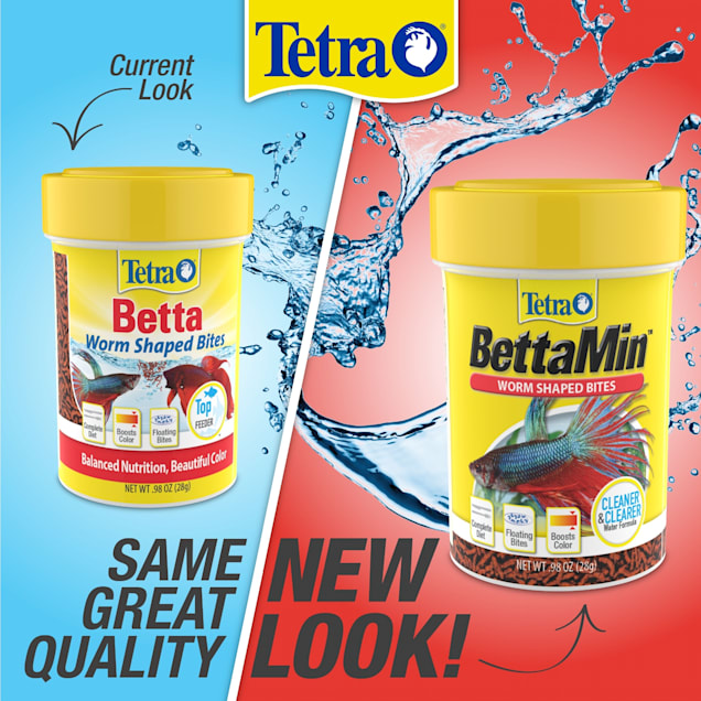 Tetra betta fish food cheap