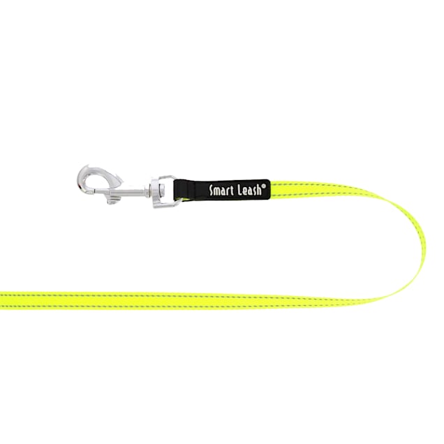 Flexi New Neon Reflective Tape Retractable Dog Leash, 16' ft., Small