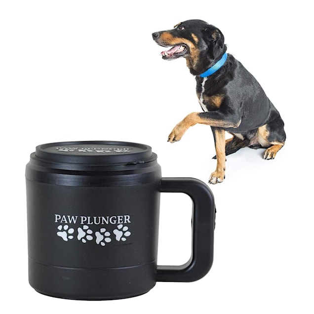 Paw plunger chewy 2025