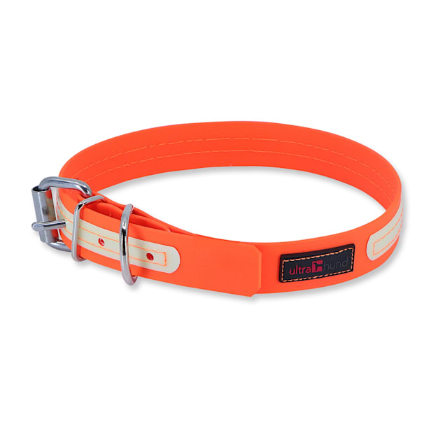 Ultrahund Orange Play Glow Buckle Dog Collar X Small