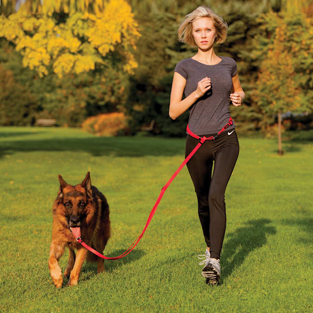 Petco running leash sale
