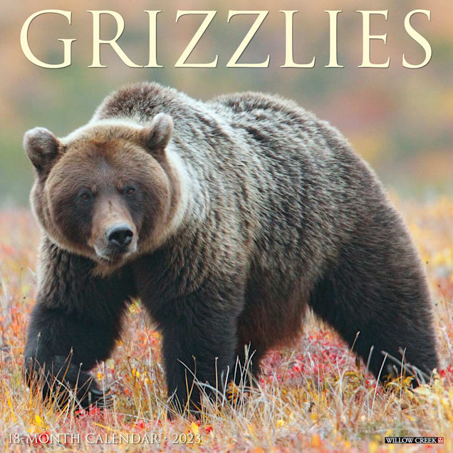 Willow Creek Press Grizzlies 2023 Wall Calendar - Carousel image #1