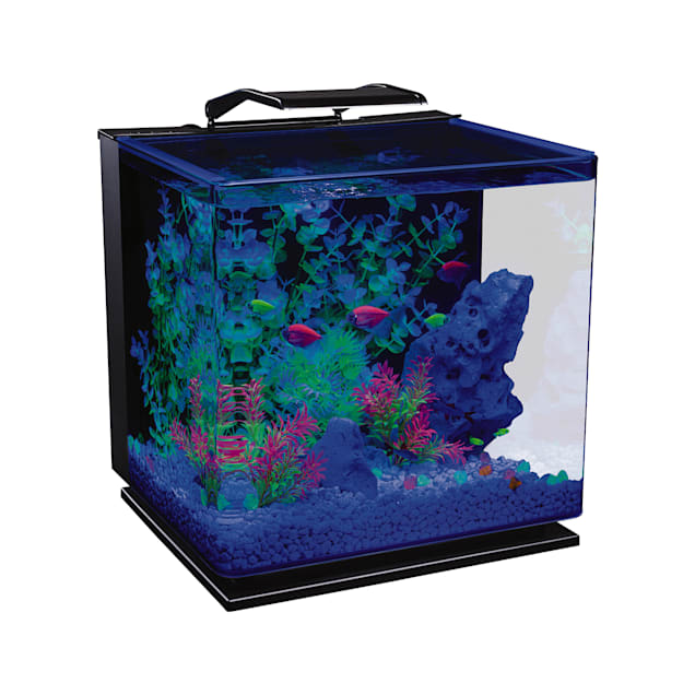 Glofish 10 Gallon Aquarium Fish Tank Kits, Includes LED Lighting and Décor  