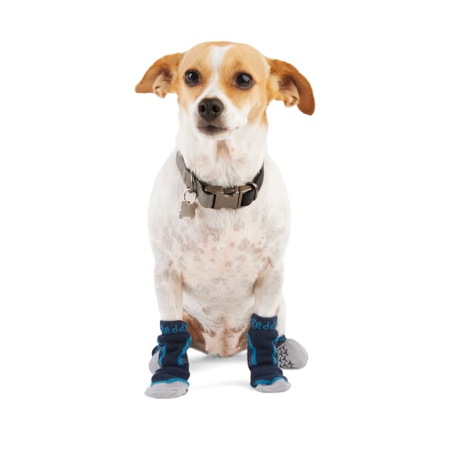 Non slip shop dog socks petco