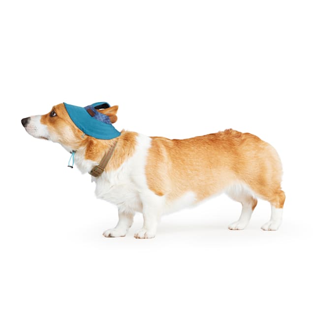 Dog hats petco cheap