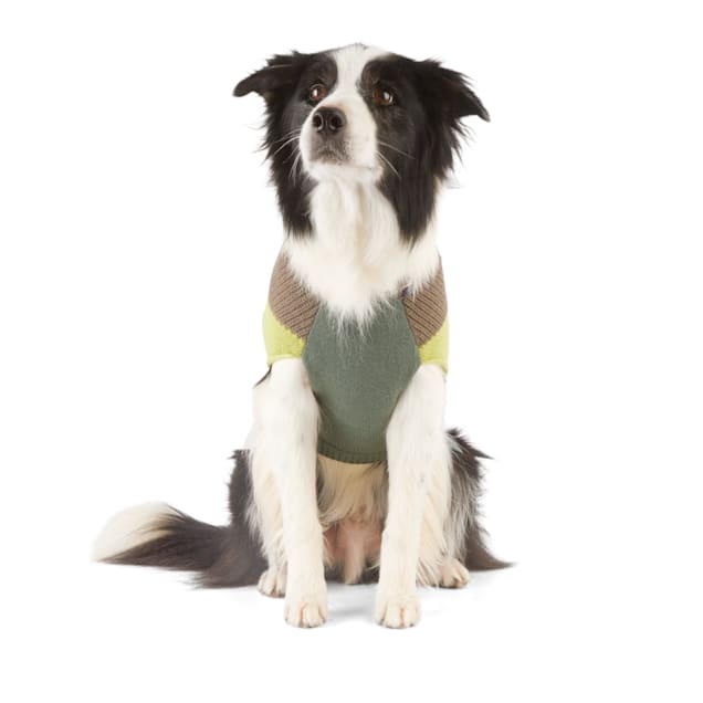 Reddy Green Colorblock Dog Sweater, XLarge Petco