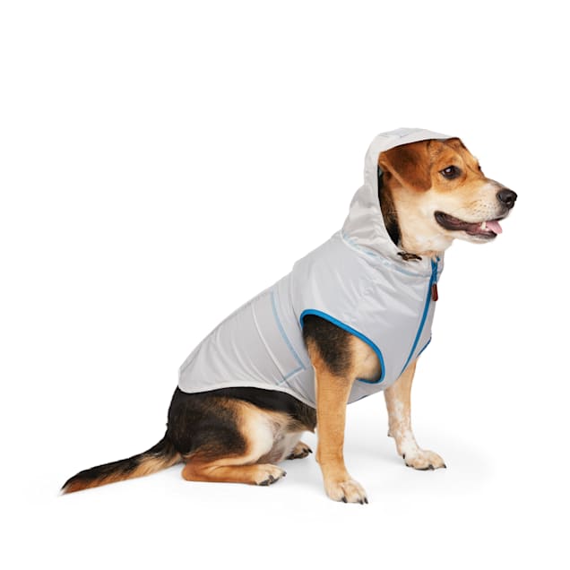 Reddy dog raincoat shop