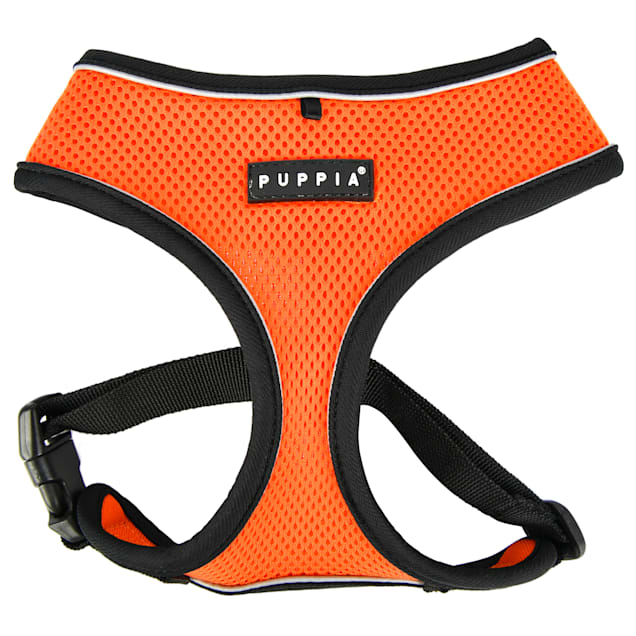 Puppia top harness petco