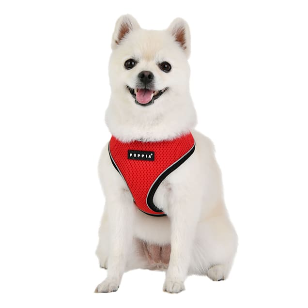 Petco adjustable mesh harness top