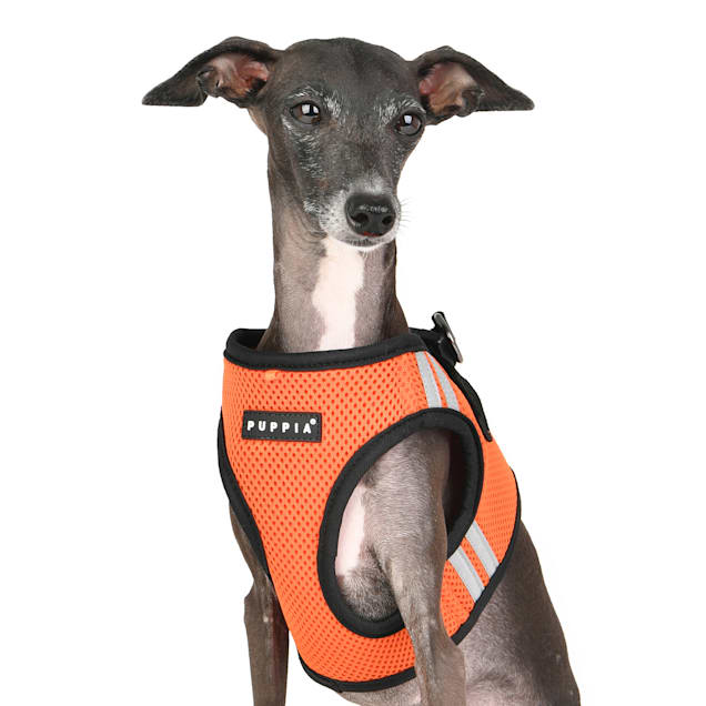 Soft dog muzzle petco discount