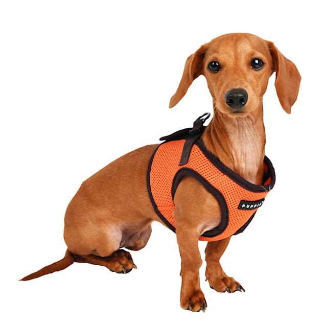 Puppia Orange StepIn Soft Vest Dog Harness II, Small Petco