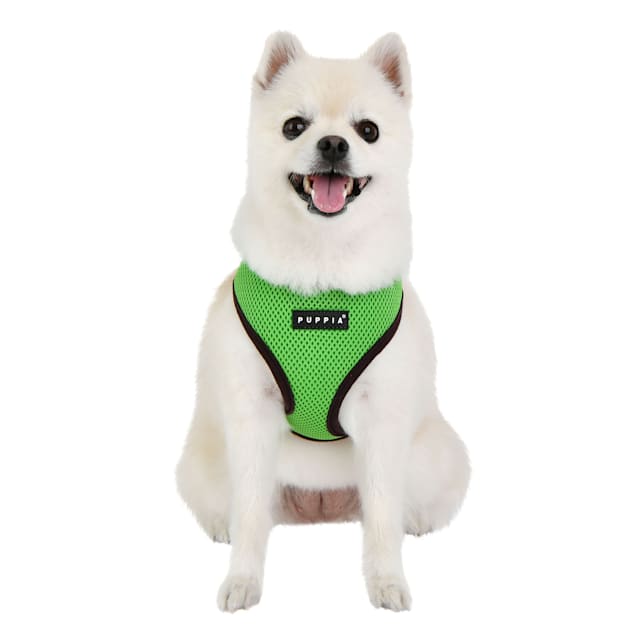 Puppia dog harness clearance