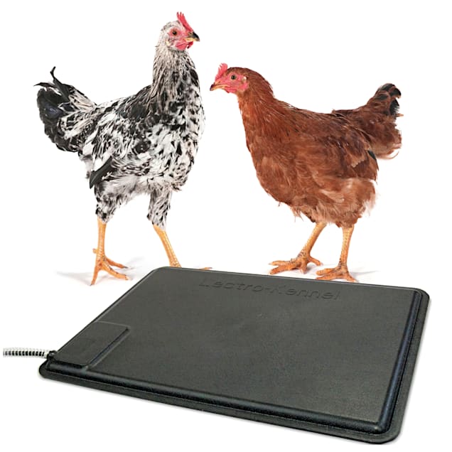 Petco heating pad online