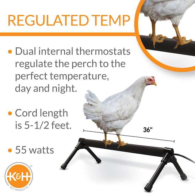 K&h poultry waterer online