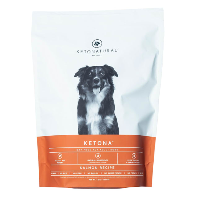 Ketona Grain Free Low Carb High Protein Salmon Recipe Dry Dog Food