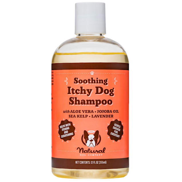 Natural Dog Company Itchy Dog Shampoo, 12 oz. - Carousel image #1