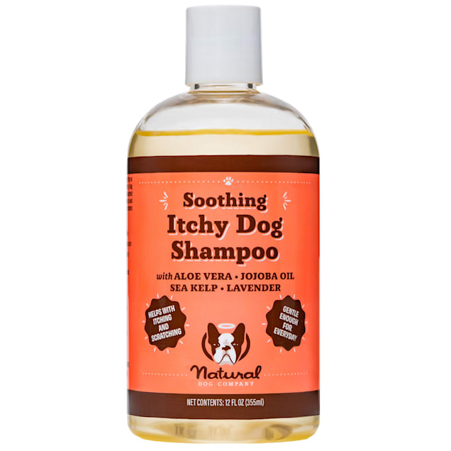 Natural Dog Company Itchy Dog Shampoo, 12 oz. | Petco