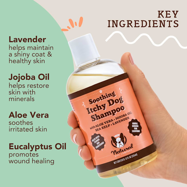 Lavender oil for new arrivals dog's itchy skin