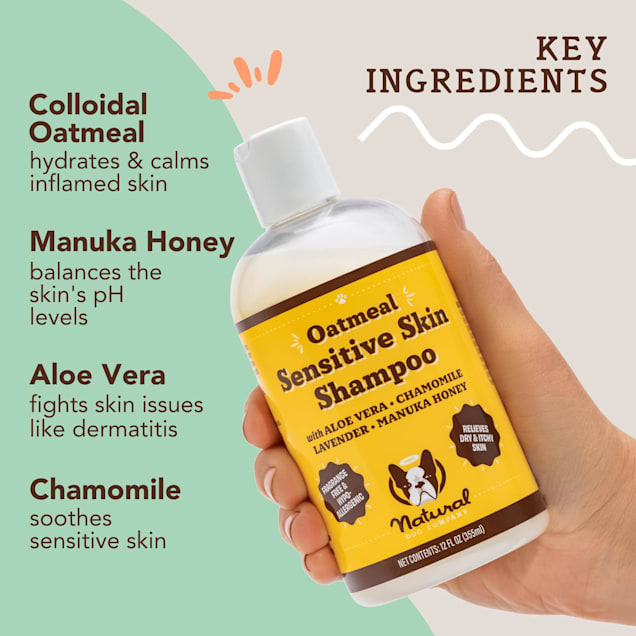 Natural Dog Company Sensitive Skin Oatmeal Shampoo for Dogs 12 oz