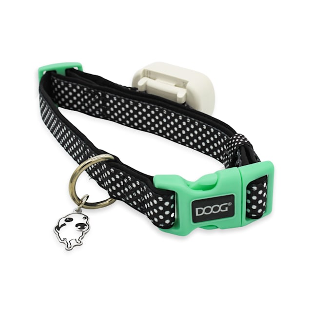 GPS dog collar