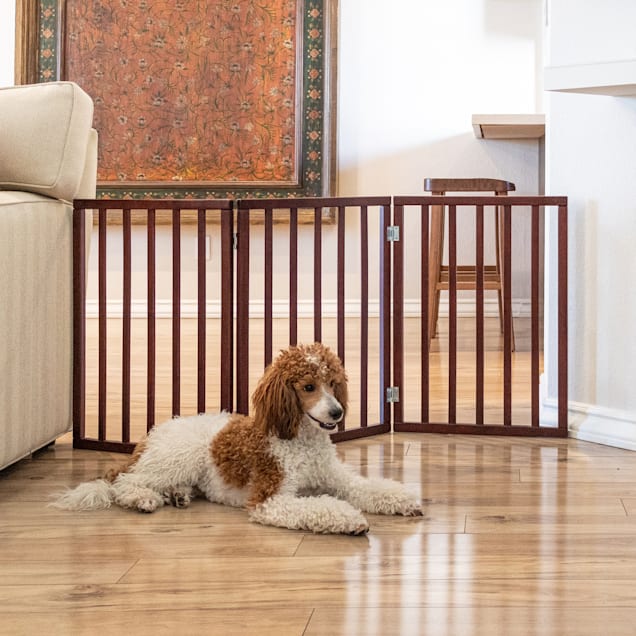 Petco dog gates indoor discount