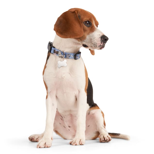 Petco bobs for dogs on sale