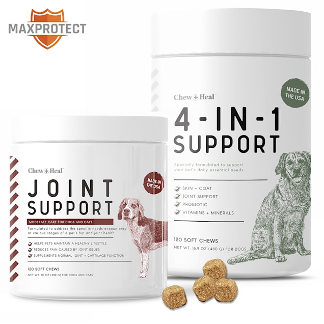 The Best Vitamins and Supplements for Your Dog