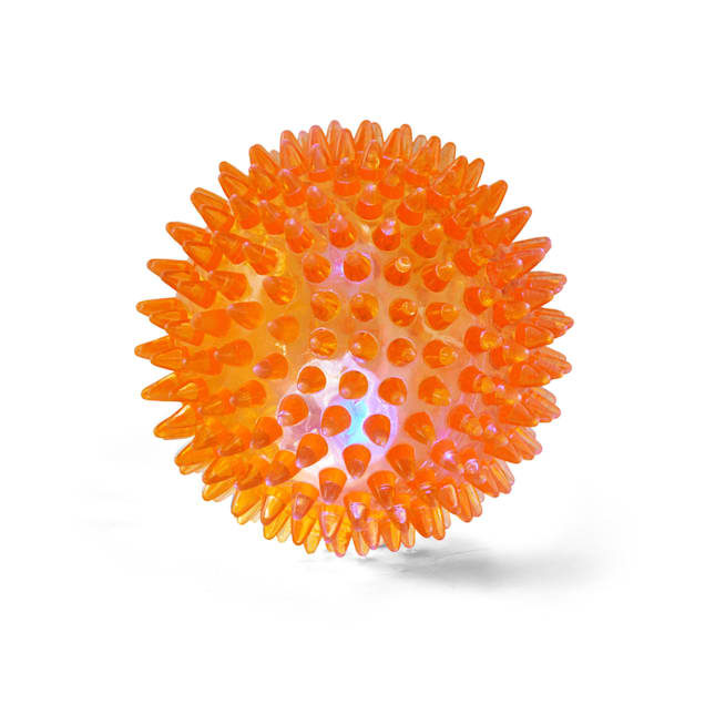 Spiky ball dog toy online