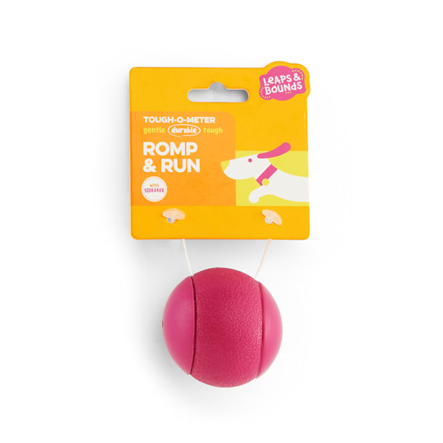 Leaps Bounds X Small Squeak Bounce Dog Ball
