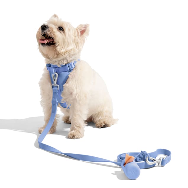 Wild One Moonstone Dog Harness X Small Petco