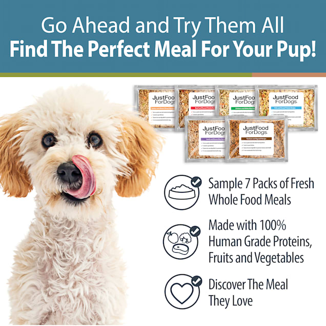 Dog sales sample box