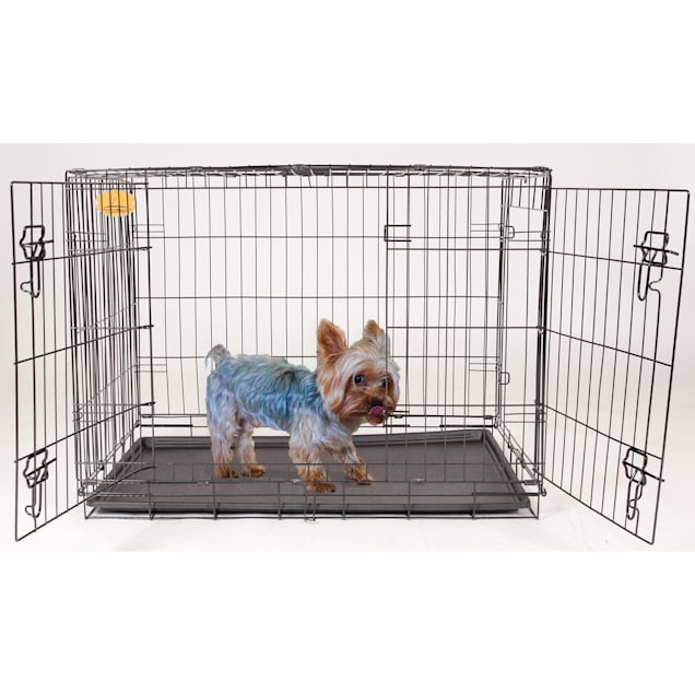 EveryYay Going Places 1-Door Folding Dog Crate, 36 L X 22.5 W X 24.9 H