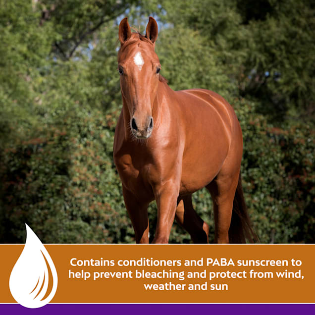 Farnam Vetrolin Shine Coat Conditioner & Shine Spray for Horses & Dogs, 32 fl. oz.
