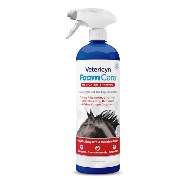 Petco medicated dog shampoo hot sale