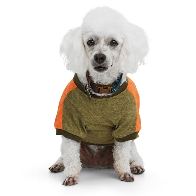 Petco dog apparel new arrivals