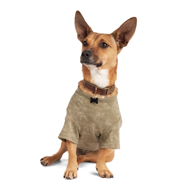 Reddy Olive Tiger Tee for Dogs, XLarge Petco