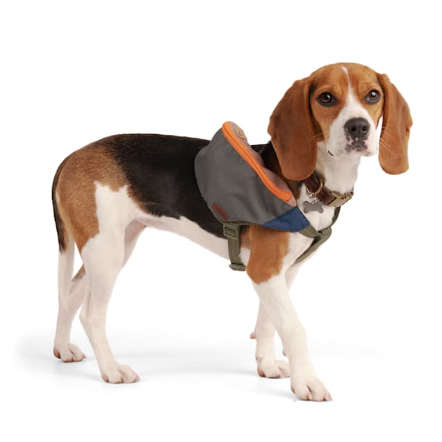 Dog crossbody bag new arrivals