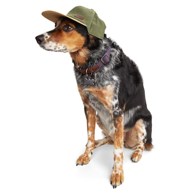 Reddy Olive and Tan Baseball Dog Hat, Large/X-Large