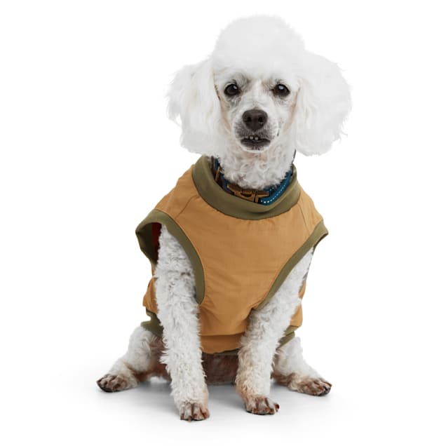 Reddy green lined surplus dog jacket 2025